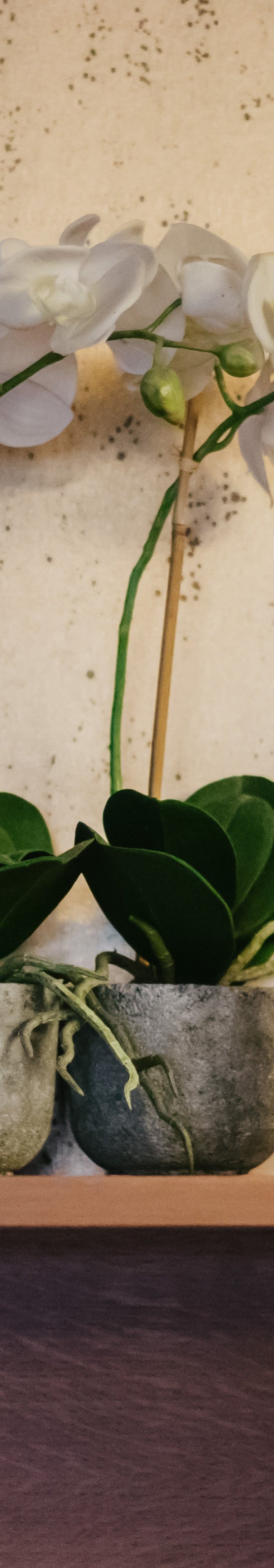 Event & Branding Tools