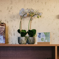 Collection image for: Events