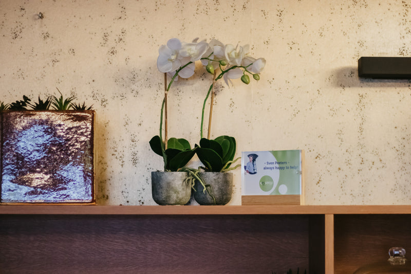 Two potted orchids on a wooden shelf with a textured wall in the background with a photo bamboo panel